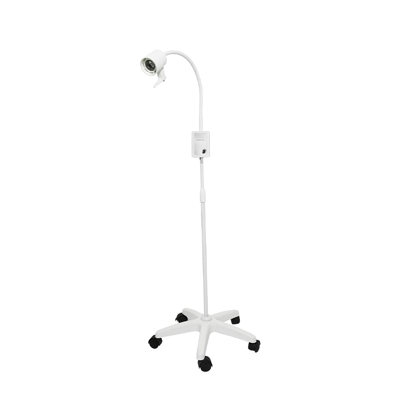 3W বিল্ট-ইন ব্যাকআপ ব্যাটারি LED Gooseneck পরীক্ষার বাতি
