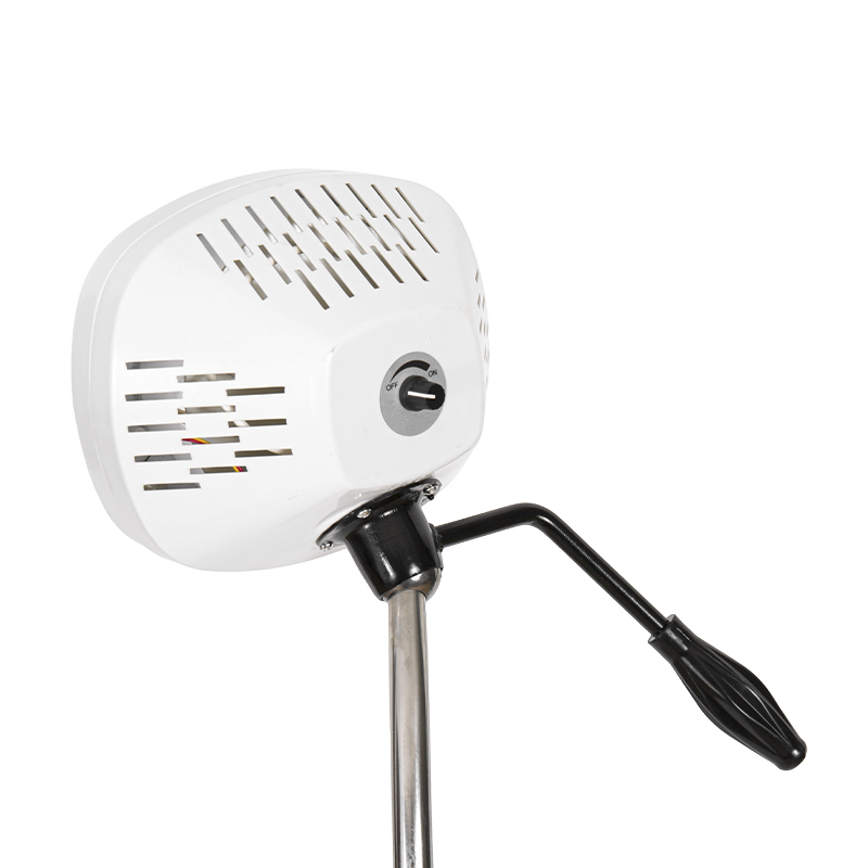 LED 8-হোল কোল্ড লাইট ডেন্টাল এক্সামিনেশন ল্যাম্প
