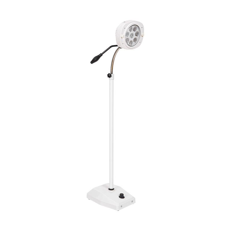 LED 8-হোল কোল্ড লাইট ডেন্টাল এক্সামিনেশন ল্যাম্প