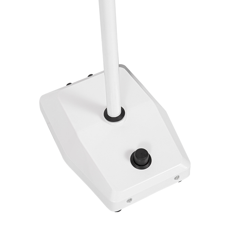 LED 8-হোল কোল্ড লাইট ডেন্টাল এক্সামিনেশন ল্যাম্প