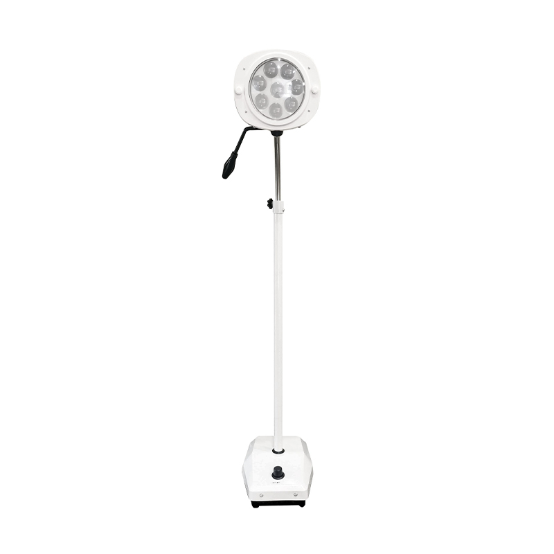 LED 8-হোল কোল্ড লাইট ডেন্টাল এক্সামিনেশন ল্যাম্প